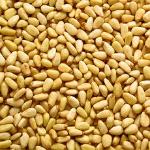 Organic to the Root Pine Kernels