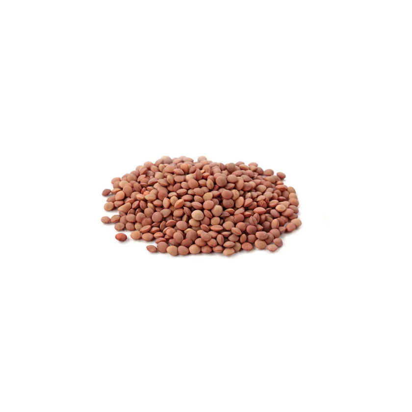 Organic to the Root Brown Lentils