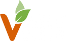 VBITES