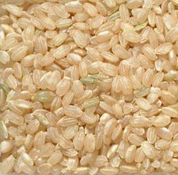Organic to the Root Short Grain Brown Rice