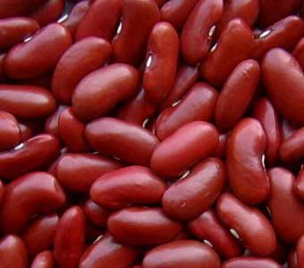 Organic to the Root Kidney Beans - 500g
